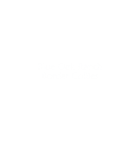 Blue Oak Ranch Border Collies logo